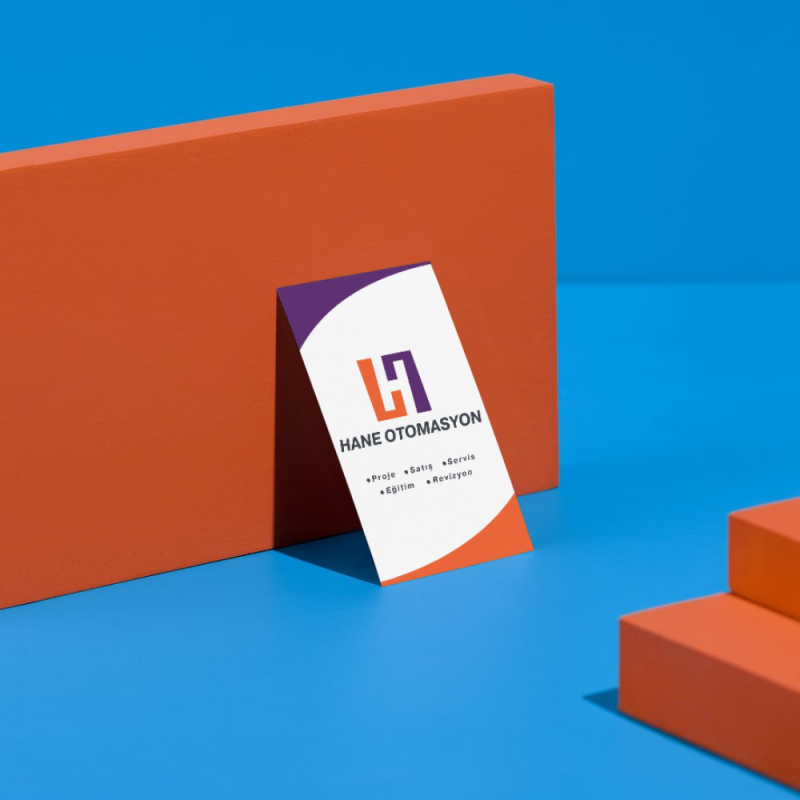 Hane Otomasyon Logo ve Kartvizit Tasarımı